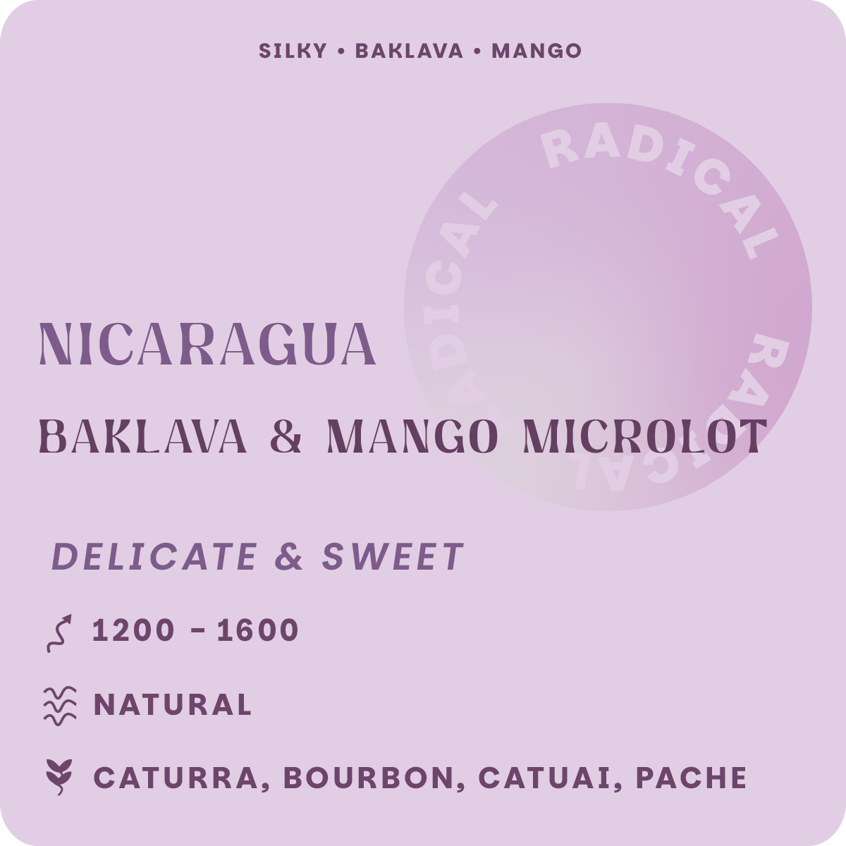 Baklava & Mango Microlot