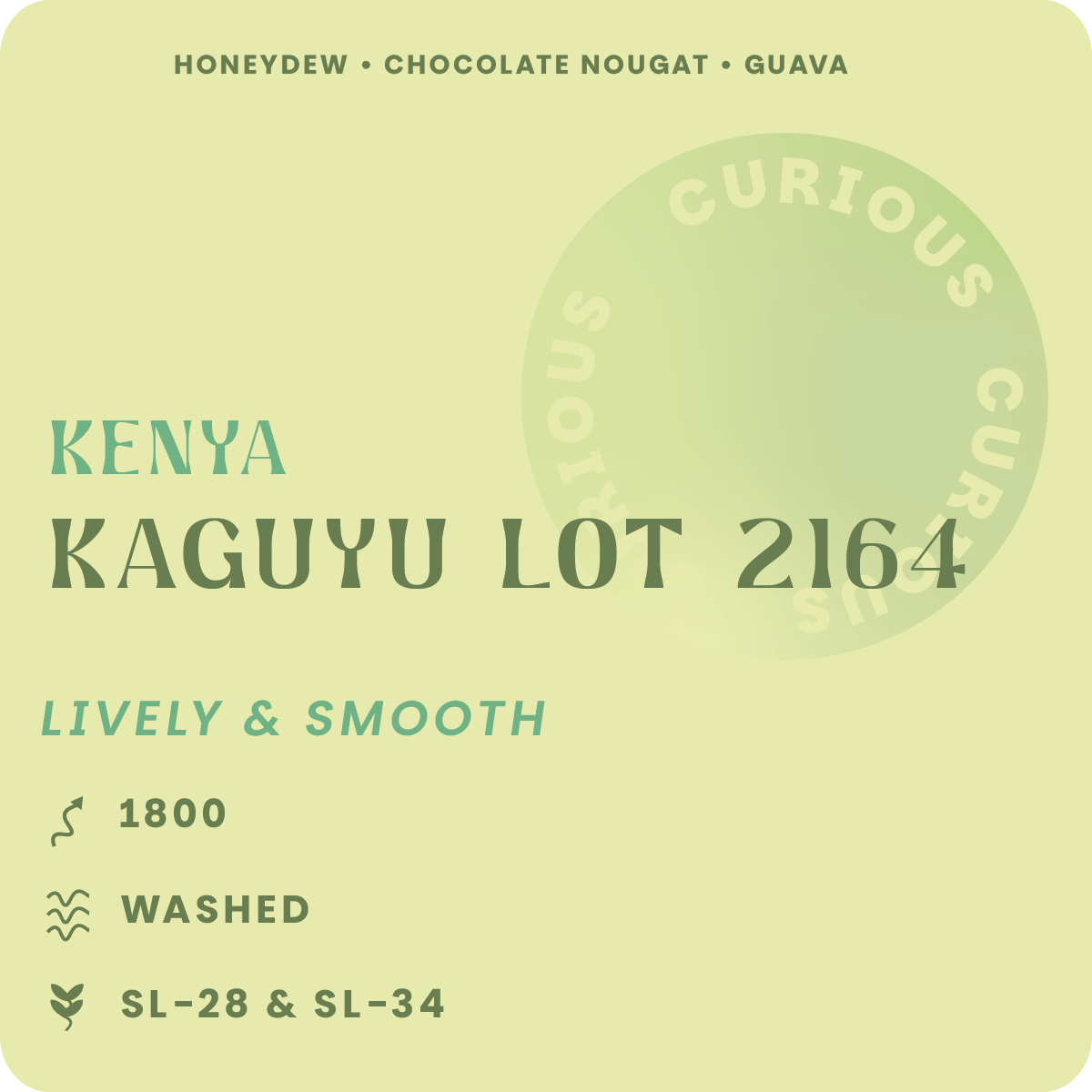 Kaguyu Lot 2164